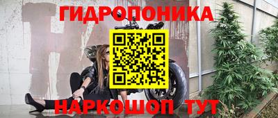 ГАЛЛЮЦИНОГЕННЫЕ ГРИБЫ Кулебаки