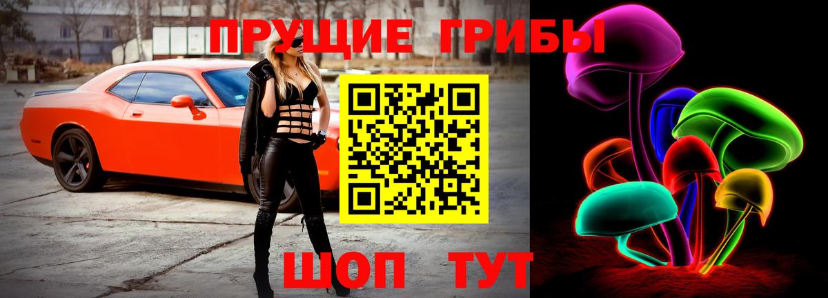 Дзержинск  Галлюциногенные грибы Psilocybine cubensis  Вход с VPN  Галлюциногенные грибы мухоморы 